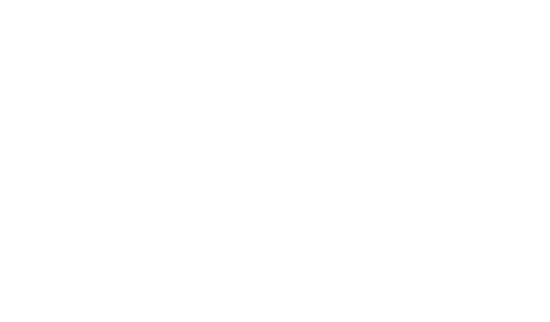 T.H.E Best Butchers Logo